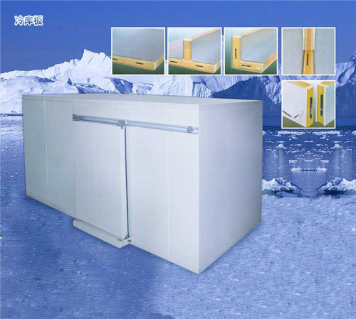 小型醫(yī)藥冷庫